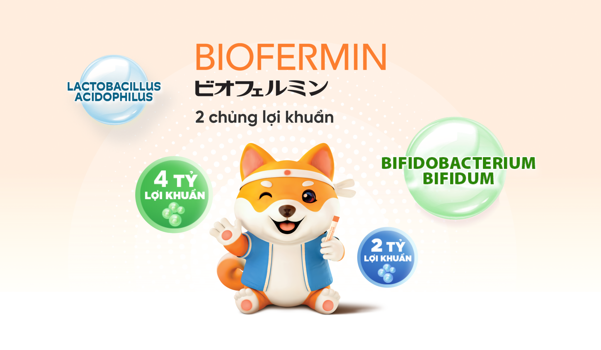 Giới thiệu về thương hiệu Biofermin - Biofermin website
