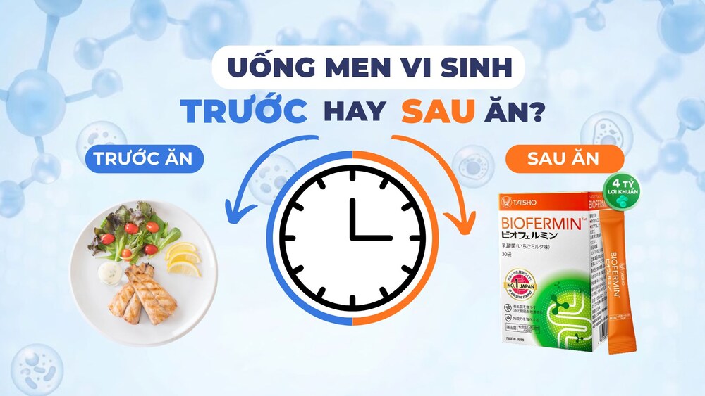 Uống men vi sinh trước hay sau ăn? Thời điểm tốt nhất để lợi khuẩn hoạt động hiệu quả