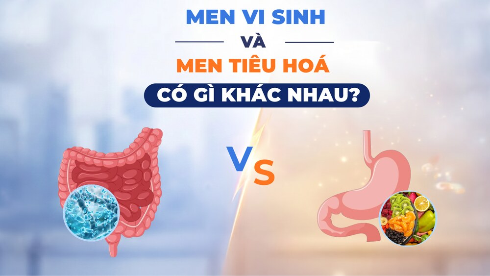 Men vi sinh và men tiêu hoá khác nhau thế nào? Nên chọn loại nào tốt cho đường ruột?