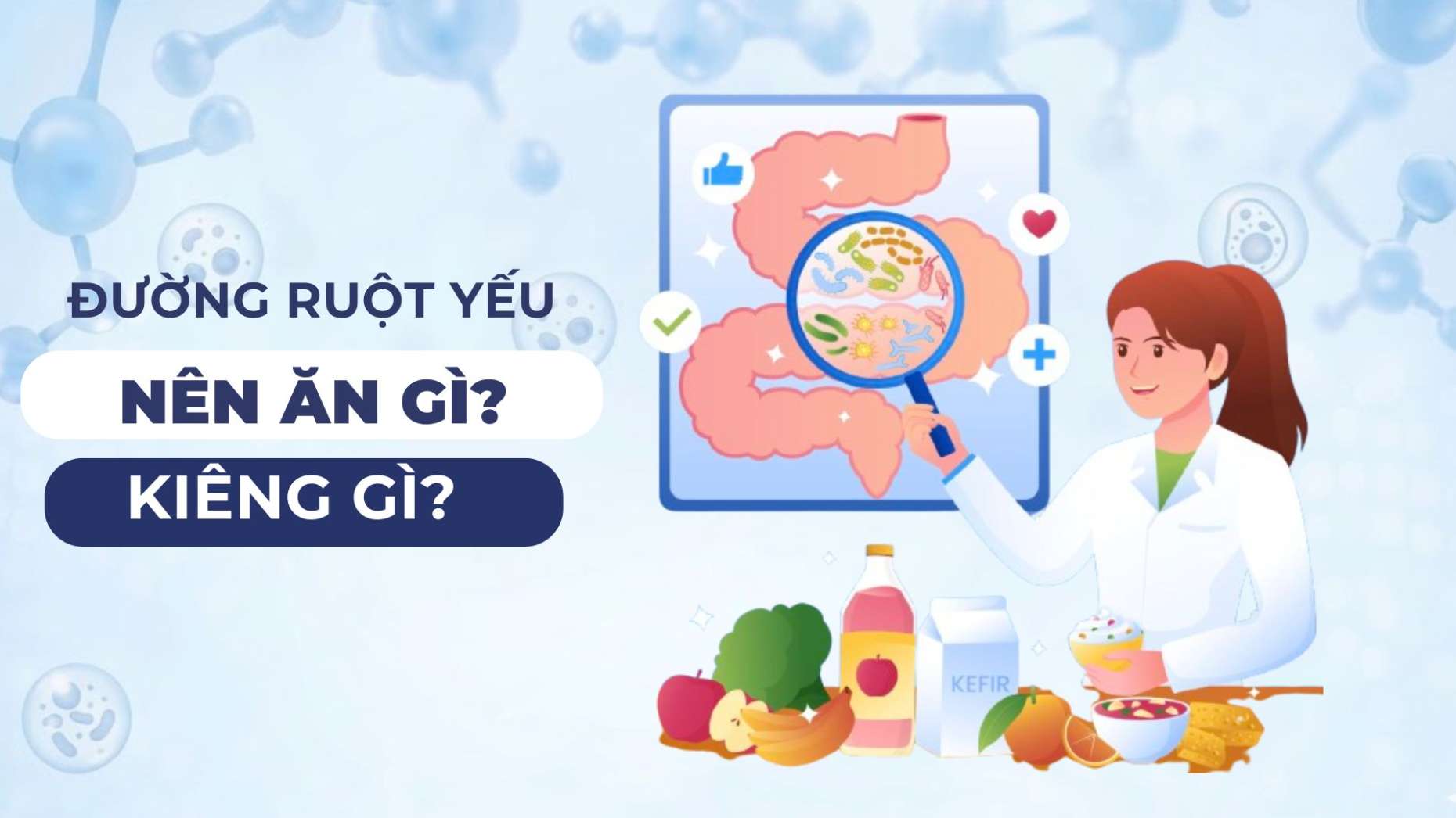 Đường ruột yếu nên ăn gì để tiêu hóa tốt hơn?