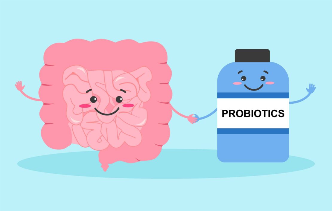 Hệ vi sinh đường ruột khỏe mạnh với các lợi khuẩn probiotics cân bằng.