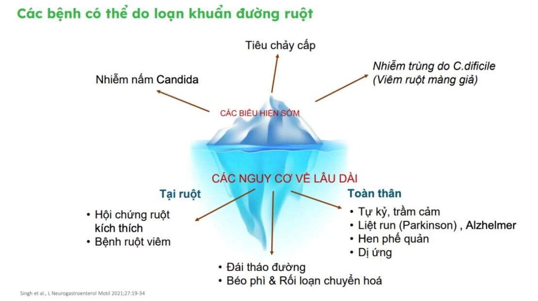 Các bệnh có thể do loạn khuẩn đường ruột