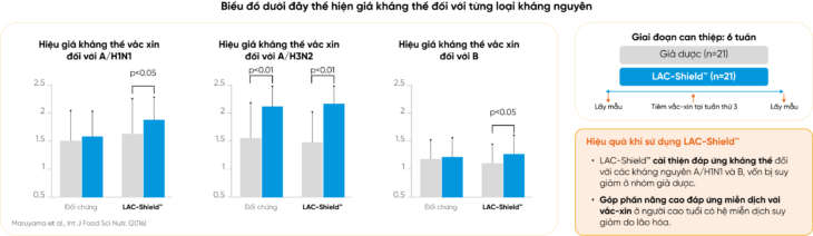 LAC-Shield™ giúp cải thiện đáp ứng miễn dịch đối với vắc-xin ở người cao tuổi