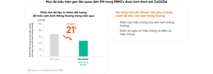 LAC-Shield™ cải thiện khả năng miễn dịch chống lại cảm lạnh thông thường